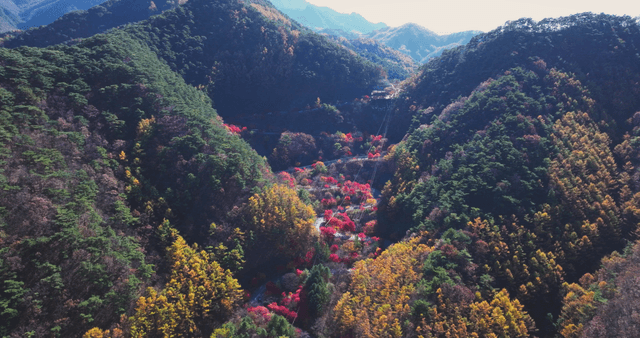 Colorful autumn foliage with winding road