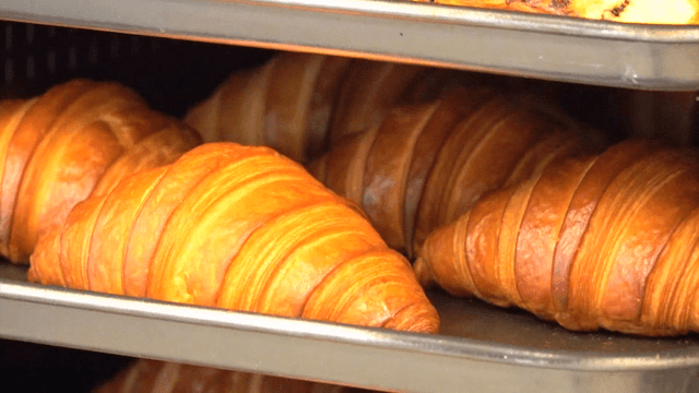 트레이에 놓인 갓 구운 갈색의 크루아상들