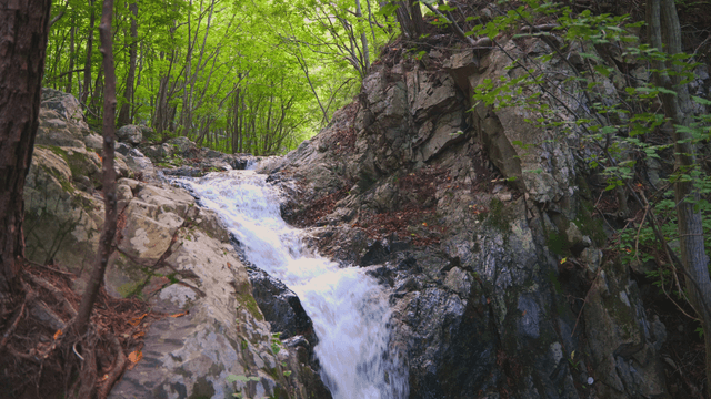 Waterfall falling between rocks in the forest