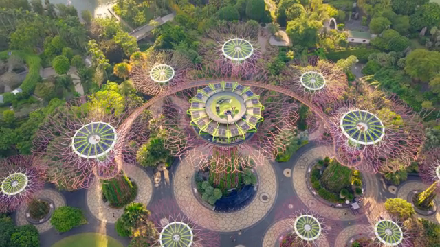 Futuristic garden with towering structures