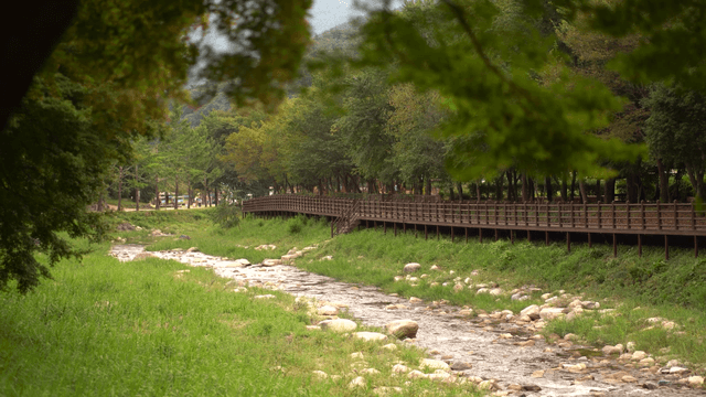 Green stream flowing gently beside walkway
