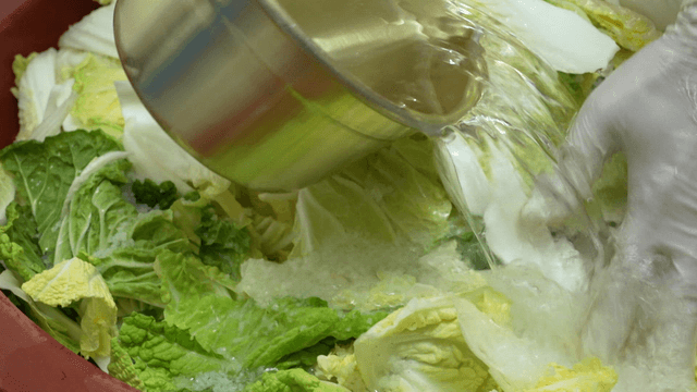 Cabbages soaked in saltwater in large basin