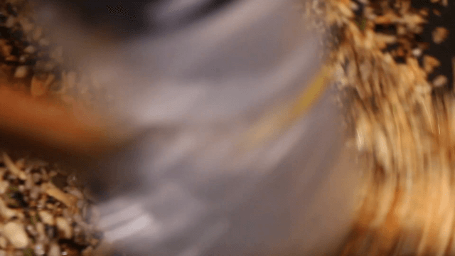 Mixing honey and nuts in a pan
