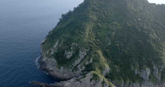 A lush green island by the sea