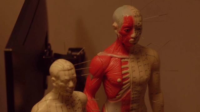 Acupuncture models with needles inserted