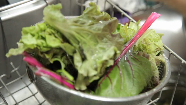 Fresh vegetables being washed in a colander