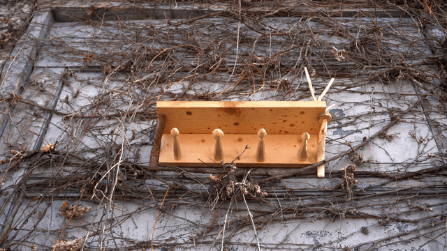 Handcrafted wooden shelf on a vine-covered wooden wall