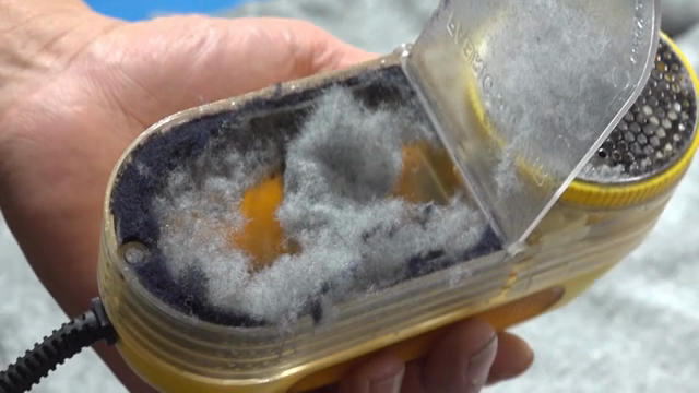 Hand holding a lint remover filled with lint