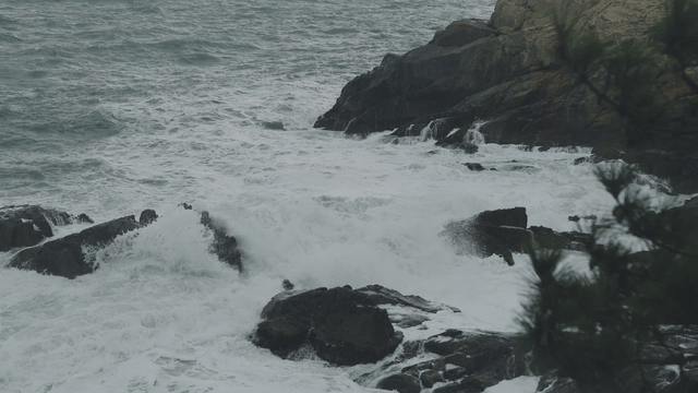 Waves crashing against rocky shore