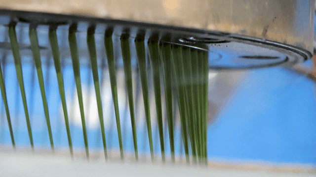 Green plastic threads extruded from machine