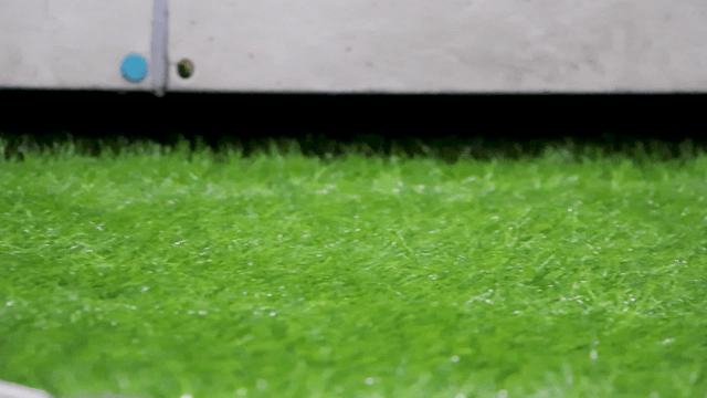 Green artificial turf being manufactured