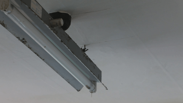 Fluorescent light fixture on a ceiling