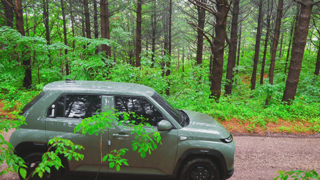 A car parked on a forest path
