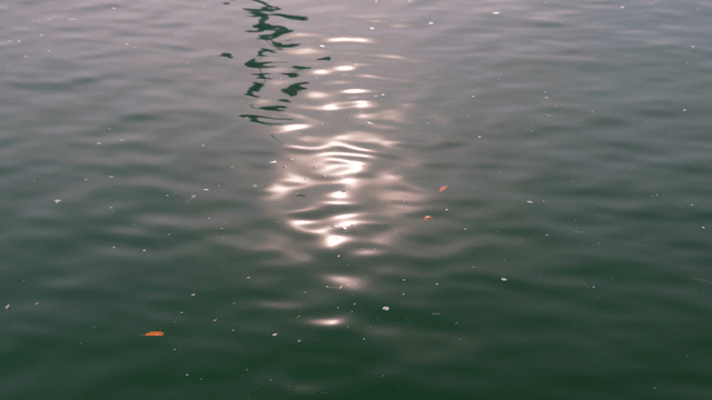 Sunlight reflecting on rippling water