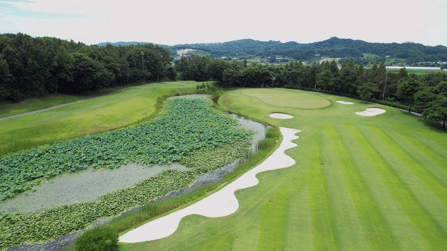 Lush golf course with a pond and trees