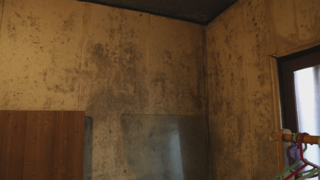 Moldy walls in a dimly lit room