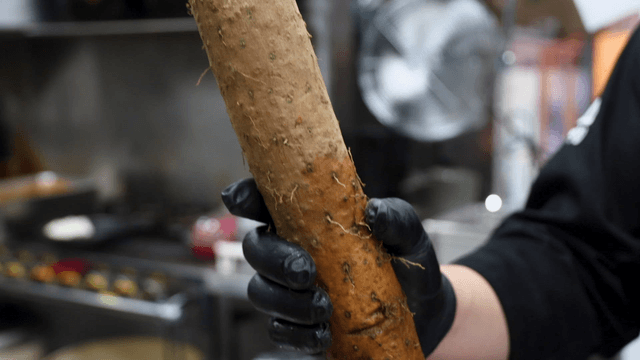 Rough yam held in kitchen
