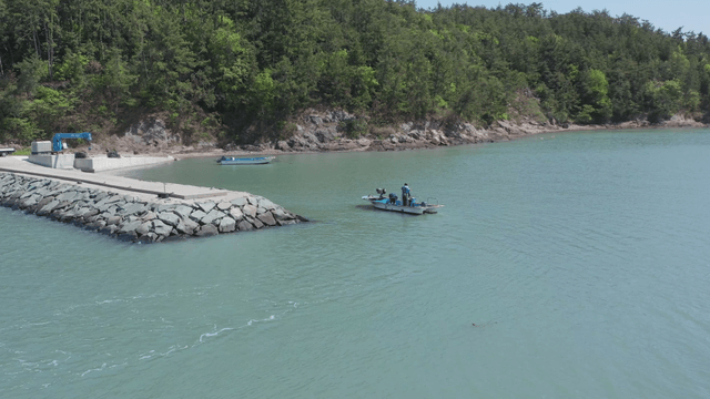 A boat near a rocky pier and forested shore