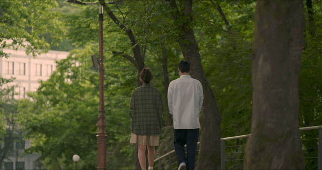 Couple walking in a green park