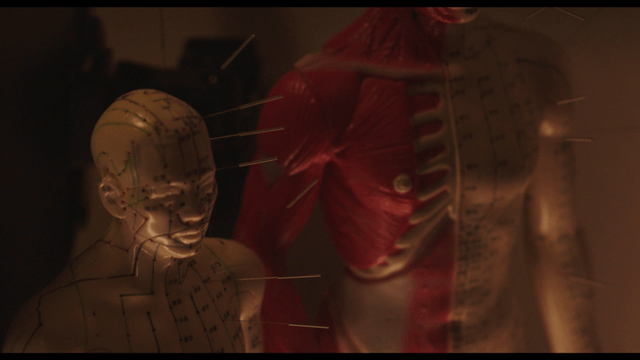 Acupuncture models with needles inserted
