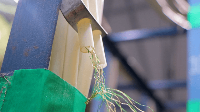 Plastic tubes with fibers in a factory