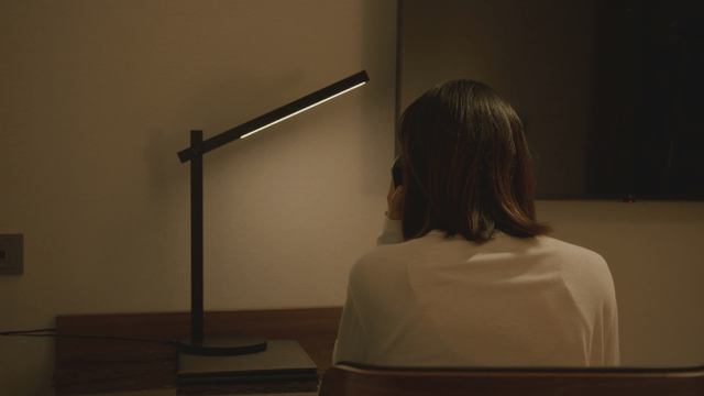 Back view of a woman talking on the phone at her desk