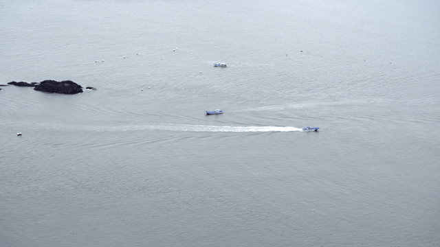 고요한 바다를 가로지르는 보트들