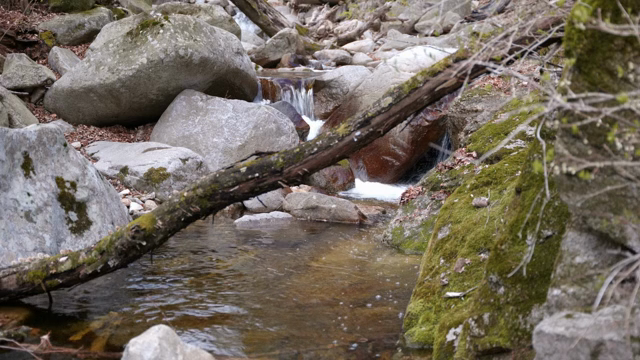 A tranquil stream flowing over rocks