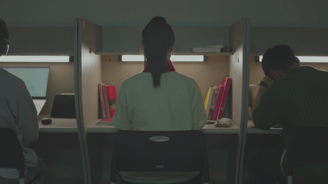 Backs of students studying in a quiet library