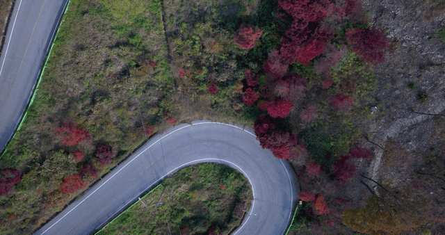 Winding road through autumn forest