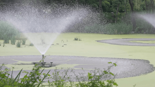Fountain spraying water in green pond