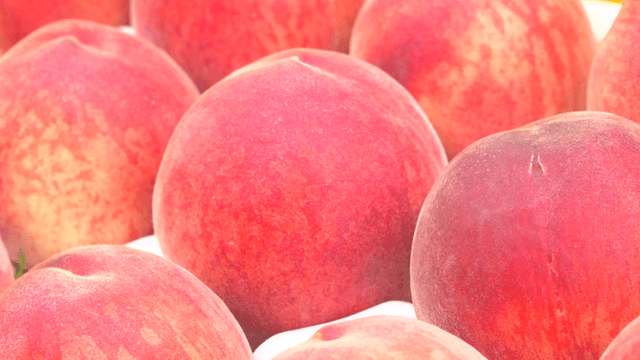 Fresh peaches arranged closely together