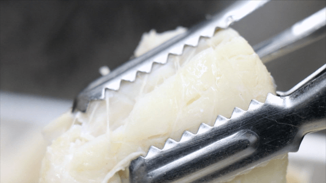 Cooked cod piece held with tongs