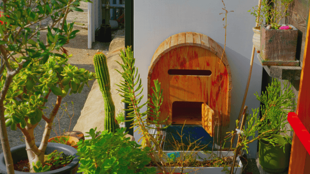 Wood mailbox and plant pots in sunlight