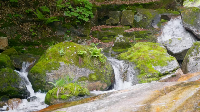 A small waterfall flowing over mossy rocks