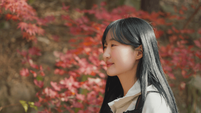 Woman enjoying autumn foliage in forest