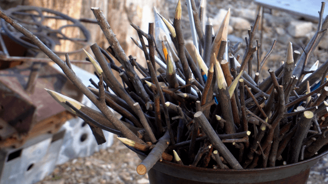 Pile of sharpened sticks in a pot
