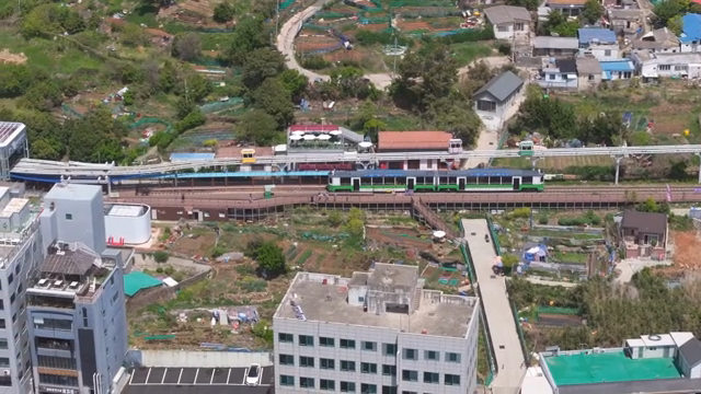 Train passing through a rural station
