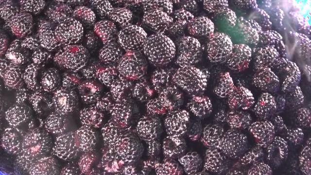 Fresh black raspberries in a blue basket