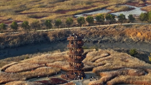 A wooden observation tower in a vast field