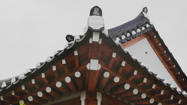 Intricate Korean traditional roof eaves