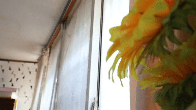 Flowers by a window indoors