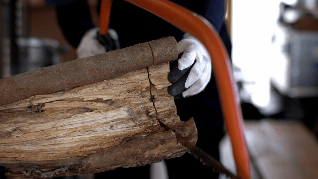 Carpenter sawing a rough log