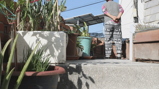 Elderly woman standing by potted plants
