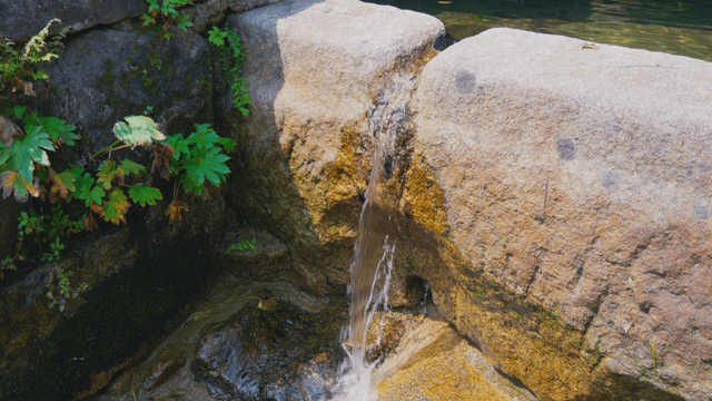 Valley stream flowing between small rocks