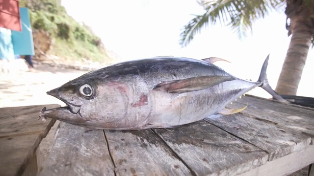 A large tuna fish on a wooden table