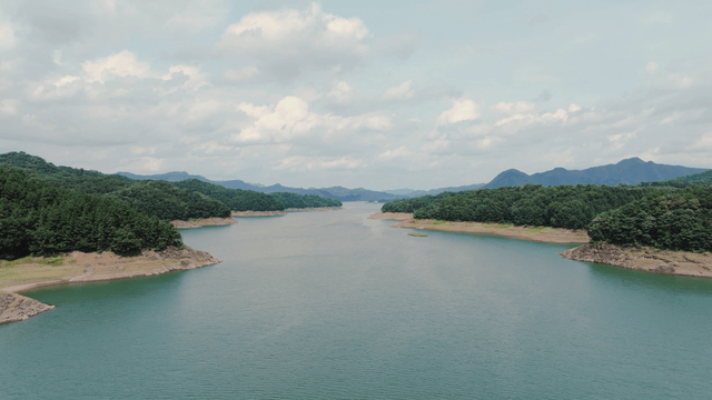 Serene lake flowing between lush forests