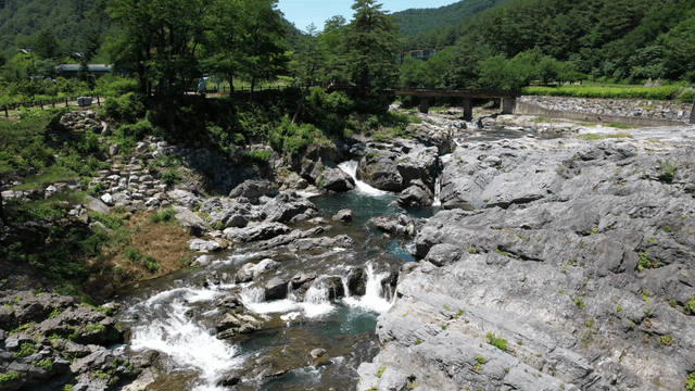 Rocky river flowing through forest