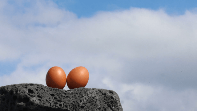 Two eggs on rock under blue sky