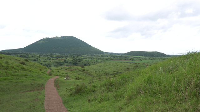 Wide meadow with distant oreum